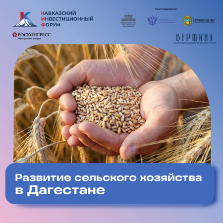 В Дагестане увеличат посевы черного тмина в 2025 году